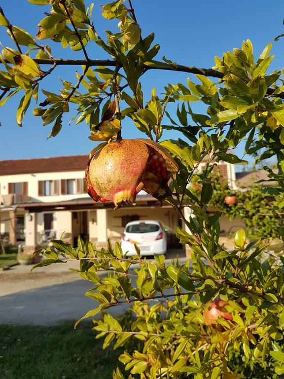 La Crota B&B Asti Buitenkant foto